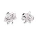 Siirry ryhmään Orkidea