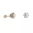 Kultaiset helmikorvakorut 5 mm 7214950000 - Helmikorut - 7214950000 - 1