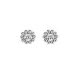 Lumoava Daisy korvakorut kirkas L54228130000 - Hopeakorut - L54228130000 - 1
