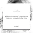 Lumoava Pihla korvakorut 551520000 - Hopeakorut - 551520000 - 3