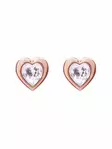 Ted Baker Han Crystal Heart korvakorut TBJ1654-24-02 - Muotikorut - TBJ1654-24-02 - 1