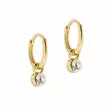 Ted Baker Sinalaa Crystal Huggie korvakorut TBJ3028-02-02 - Muotikorut - TBJ3028-02-02 - 1