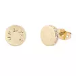 Ted Baker Seesay korvakorut TBJ3314-02-02 - Muotikorut - TBJ3314-02-02 - 1