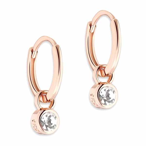 Ted Baker Sinalaa roikkuvat korvakorut TBJ3028-24-02 - Muotikorut - TBJ3028-24-02 - 1