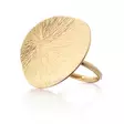 Lumoava Lily Kullattu Sormus L62257900000 - Hopeasormukset - L62257900155 - 1