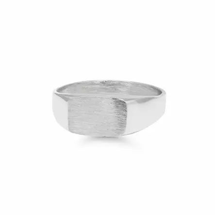 Hopeakastesormus kantasormus H76 - Kastesormukset - H76 - 1