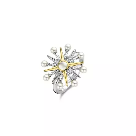 Ti Sento Milano hopeasormus 12301YP - Hopeasormukset - 12301YP-56 - 1