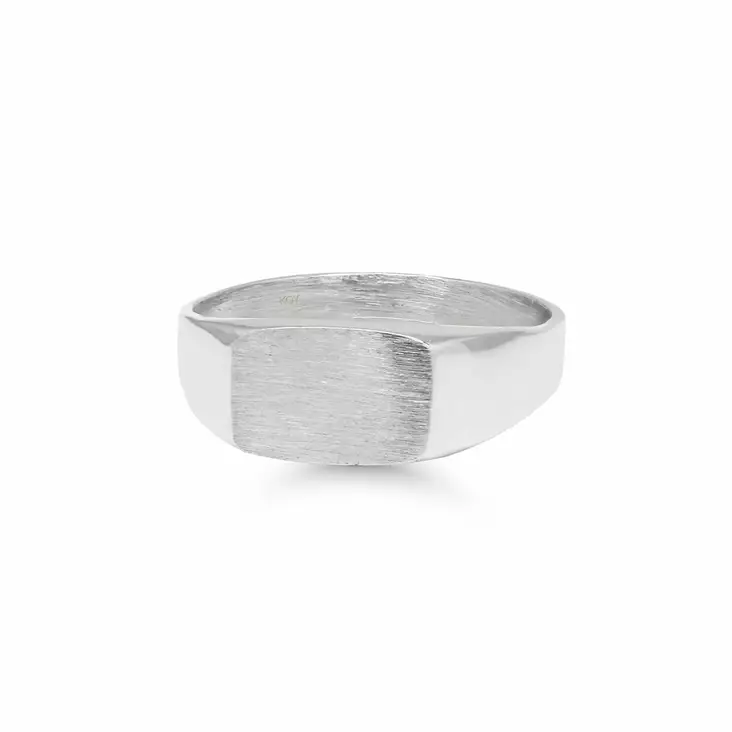 Hopeakastesormus kantasormus H76 - Kastesormukset - H76 - 1