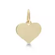 Kultainen sydänriipus laatta 1123107 - Kultakorut - 1123107 - 1