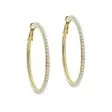 Ted Baker Pearl Hoops Korvakorut TBJ3853-02-28 - Muotikorut - TBJ3853-02-28 - 1