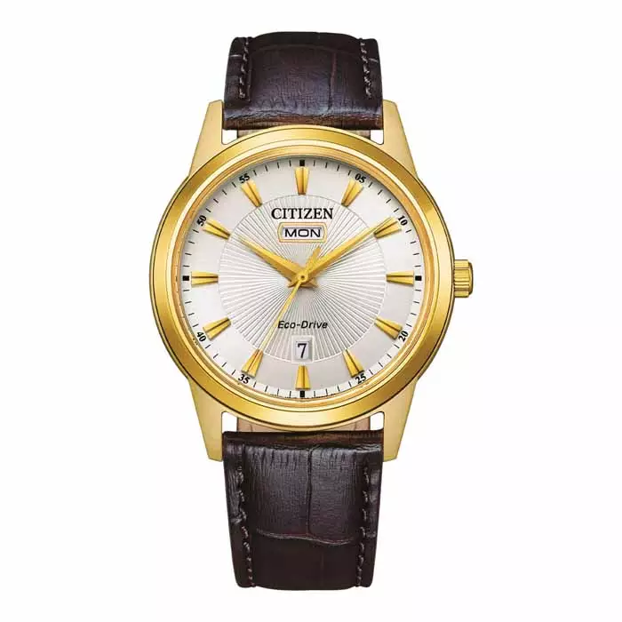 Citizen Eco-Drive AW0102-13A - Citizen miesten rannekellot - AW0102-13A - 1