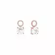 Marmara Sterling ruusukullatut korvakoruhelat kristalleilla KR791CRG - Hopeakorut - KR791CRG - 1