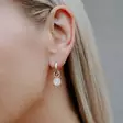 Marmara Sterling ruusukullatut korvarenkaat KR795G - Hopeakorut - KR795G - 2