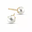 Kultaiset helmikorvakorut 1004valk-4-4,5m - Helmikorut - 1004valk-4-45mm - 1